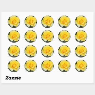 Rosa Gold Bunny [Round Seal] Classic Round Sticker
