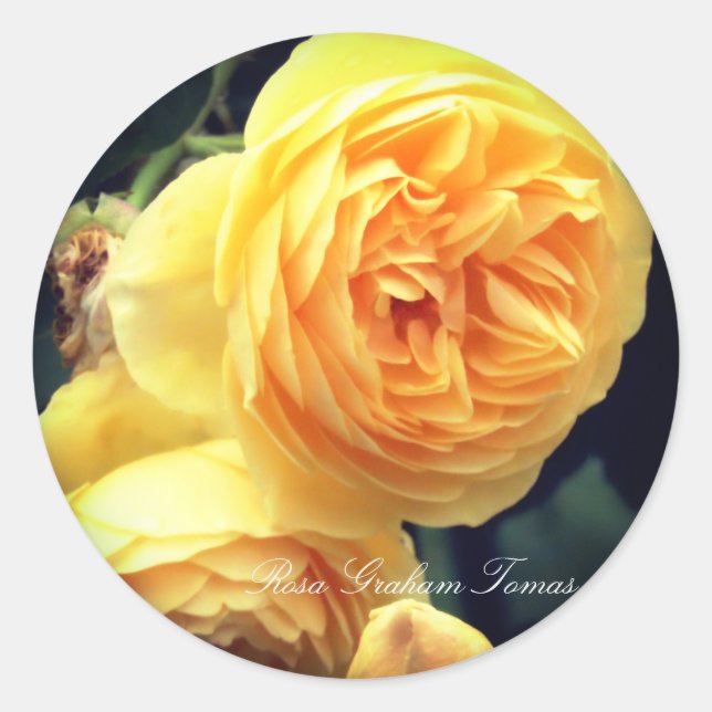 Rosa Graham Thomas Classic Round Sticker (Front)