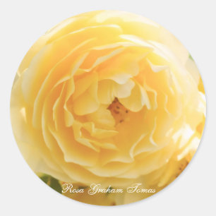 Rosa Graham Thomas [Round Seal] Round Seal