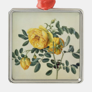 Rosa hemispherica, 18th century metal tree decoration