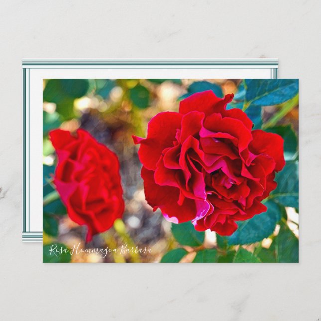 Rosa Hommage a Barbara: Flat Card (Front/Back)