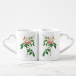 Rosa indica fragrans botanical illustration coffee mug set<br><div class="desc">Vintage rose botanical illustration - Rosa indica fragrans - perfect example of 'shabby chic' style.</div>