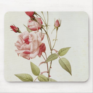 Rosa Indica Vulgaris, from 'Les Roses' Mouse Pad