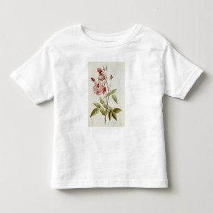 Rosa Indica Vulgaris, from 'Les Roses' Toddler T-Shirt