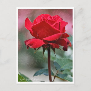 Rosa Ingrid Bergman Postcard