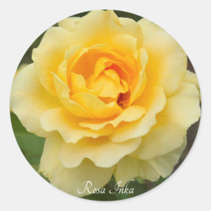Rosa Ink A [Round Seal] Classic Round Sticker