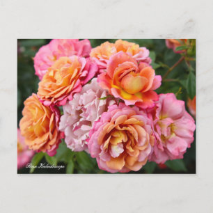 Rosa Kaleidoscope [Postcard] Postcard
