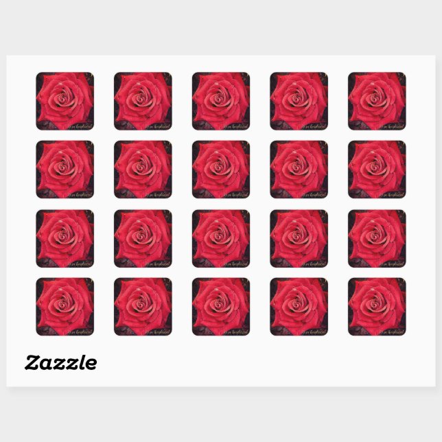 Rosa Kardinal [Square Seal] Square Sticker (Sheet)