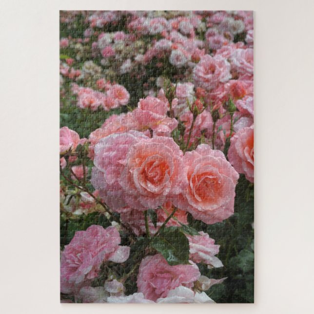 Rosa ‘Kate Sheppard’ rose Jigsaw Puzzle (Vertical)