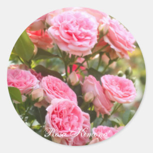 Rosa‘Kimono’ [Round Seal] Classic Round Sticker