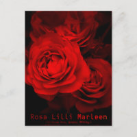 Rosa Lilli Marleen：Postcard