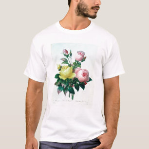 Rosa Lutea and Rosa Indica T-Shirt