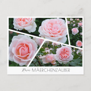 Rosa Mäerchenzauber Postcard