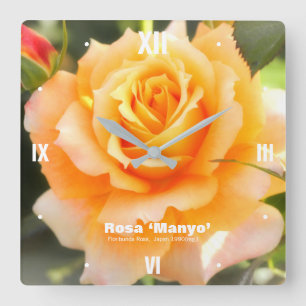 Rosa ` Manyo': Acrylic Wall Clock