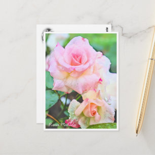 Rosa Matilda Postcard
