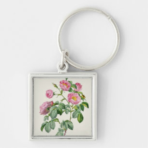 Rosa Mollissima, from 'Les Roses' Key Ring