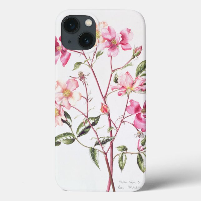 Rosa 'Mutabilis' 1996 Case-Mate iPhone Case (Back)