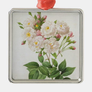 Rosa Noisettiana, from'Les Roses' Metal Ornament