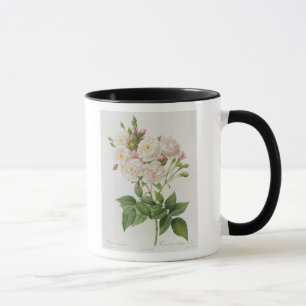 Rosa Noisettiana, from'Les Roses' Mug