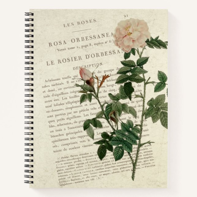 Rosa orbessanea  notebook (Front)