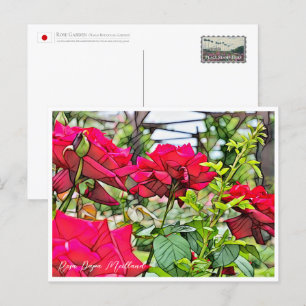 Rosa Papa Meilland Postcard