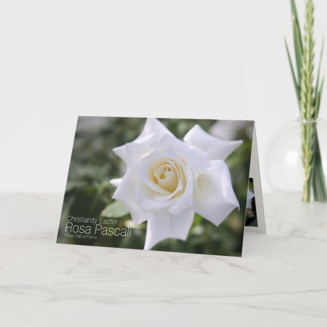 Rosa Pascali Card (Front)