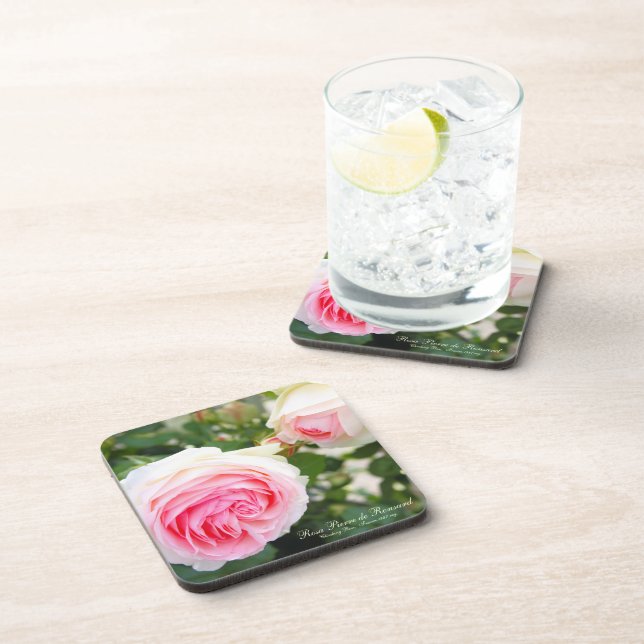 Rosa Pierre de Ronsard [Hard Plastic Coaster Set] (Right Side)