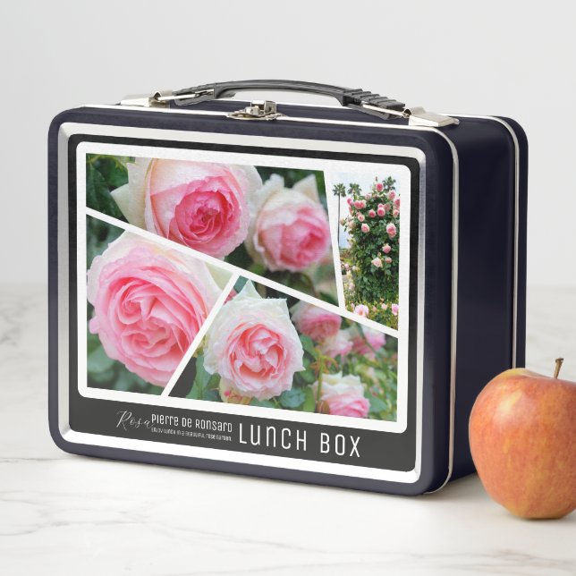 Rosa Pierre de Ronsard Metal Lunch Box (In Situ)
