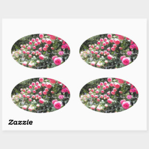 Rosa Pierre de Ronsard:Oval Seal