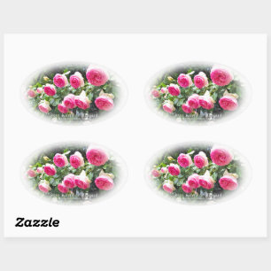 Rosa Pierre de Ronsard [Oval Seal] 楕円形シール Oval Sticker