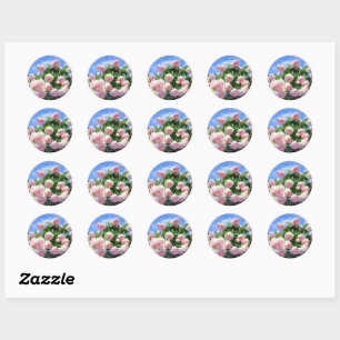 Rosa Pierre de Ronsard [Round Seal] Classic Round Sticker