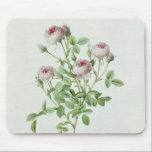 Rosa Pomponia, from 'Les Roses' Mouse Pad<br><div class="desc">Rosa Pomponia,  from 'Les Roses' by Claude Antoine Thory | by Henri Joseph Redoute | Art Location: Bibliotheque du Museum d'Histoire Naturelle,  Paris,  France | French Artist | Image Collection Number: XIR208409</div>