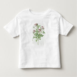 Rosa Pomponia, from 'Les Roses' Toddler T-Shirt