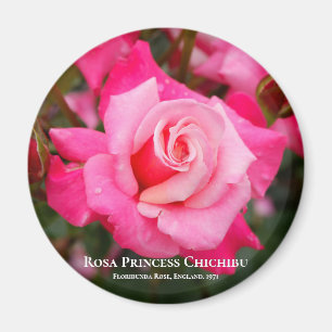 Rosa Princess Chichibu Magnet