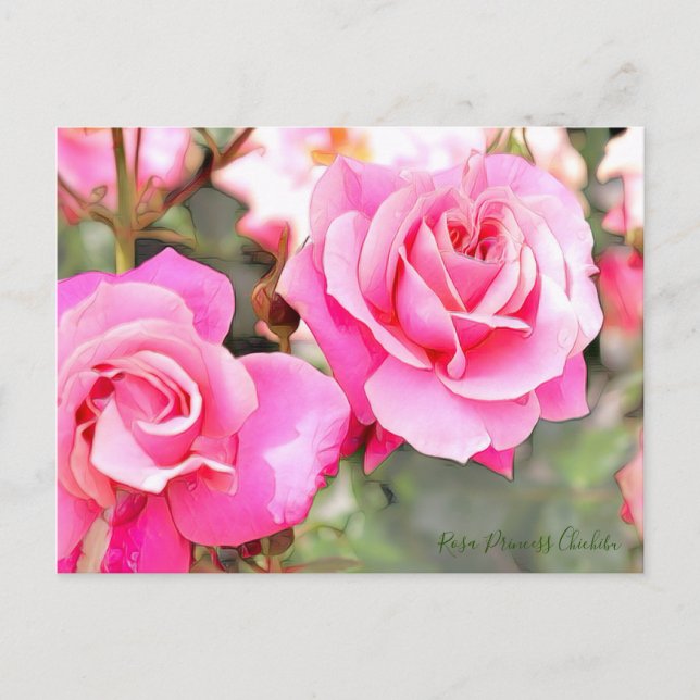 Rosa Princess Chichibu [Postcard] Postcard (Front)