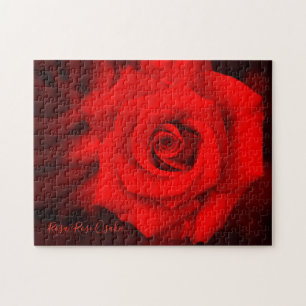 Rosa ‘Rose Osaka’  [Jigsaw Puzzle: 252P] Jigsaw Puzzle