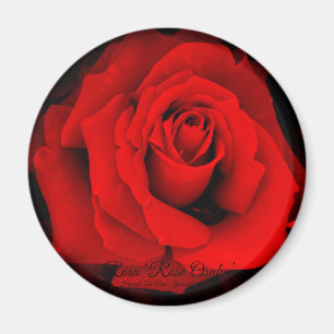 Rosa ‘Rose Osaka’：Round Magnet