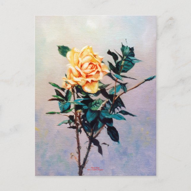 Rosa/Rose Postcard (Front)
