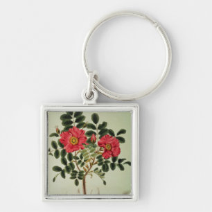 Rosa rugosa, from 'Flora Japonica' Key Ring