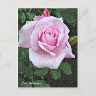 Rosa Sakuragai Postcard