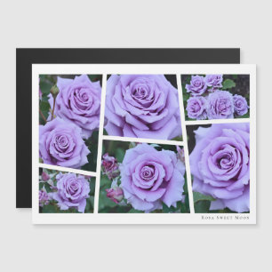 Rosa Sweet Moon