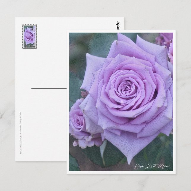 Rosa Sweet Moon Postcard (Front/Back)