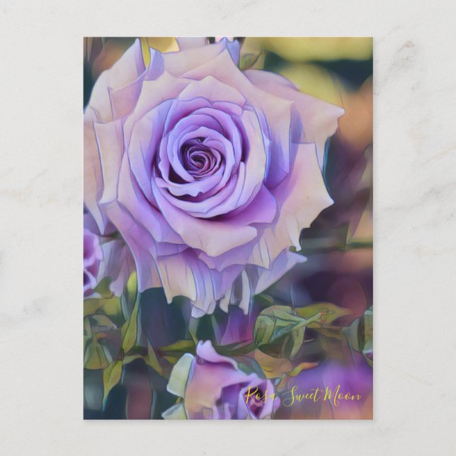 Rosa Sweet Moon [Postcard] Postcard (Front)