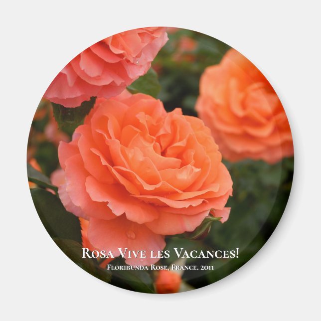 Rosa Vive les Vacances! Magnet (Front)