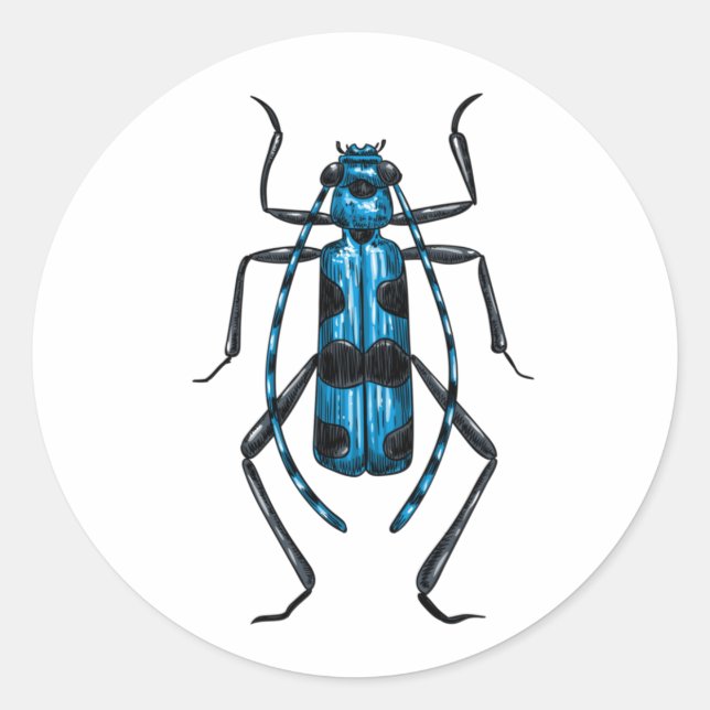 Rosalia Alpina beetle Classic Round Sticker (Front)