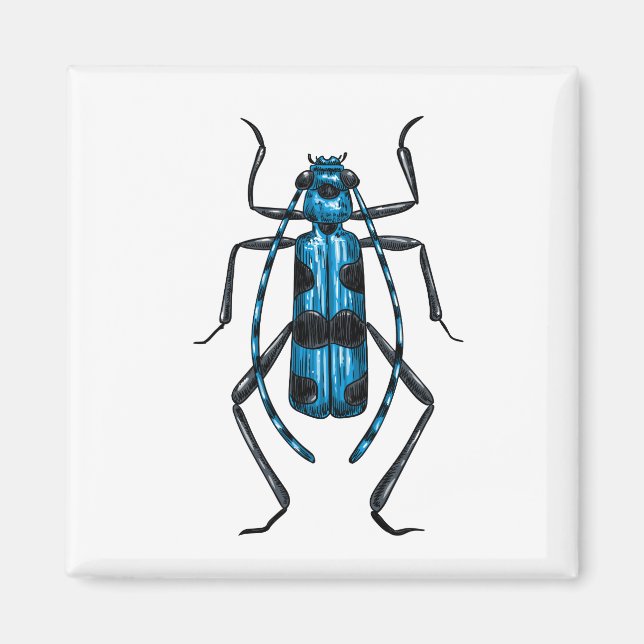 Rosalia Alpina beetle Magnet (Front)
