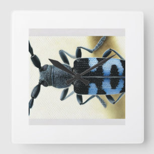 Rosalia longicorn beetle 230824IREF208 - Watercolo Square Wall Clock