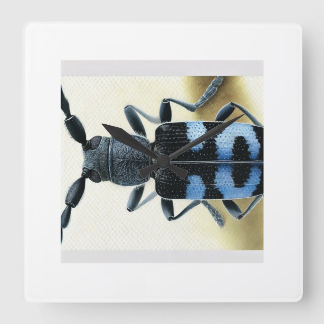 Rosalia longicorn beetle 230824IREF208 - Watercolo Square Wall Clock (Front)