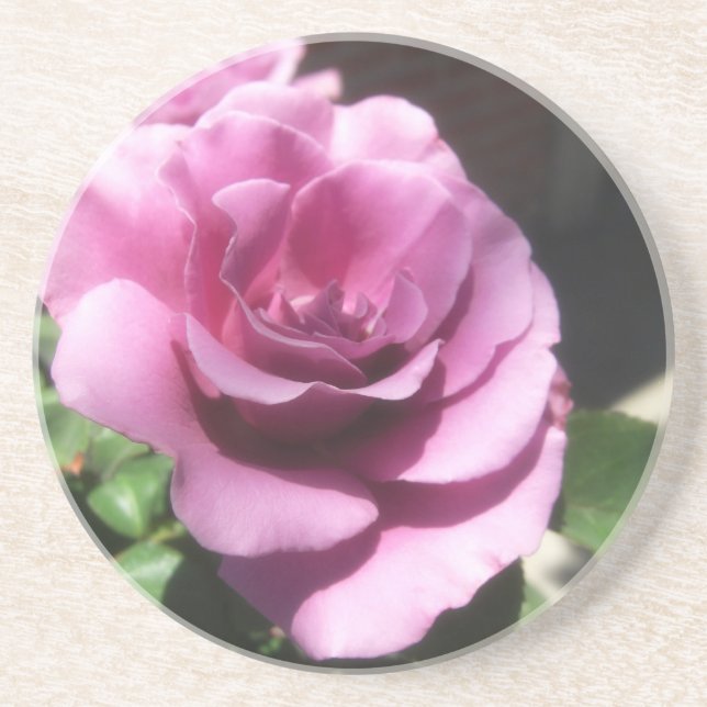 Rosas Moradas 1 Coaster (Front)