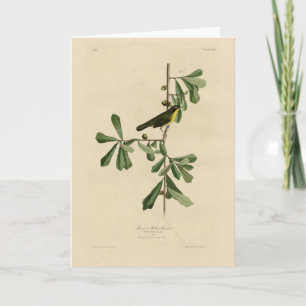 Roscoe's Yellow-throat, Audubon's Birds of America Card